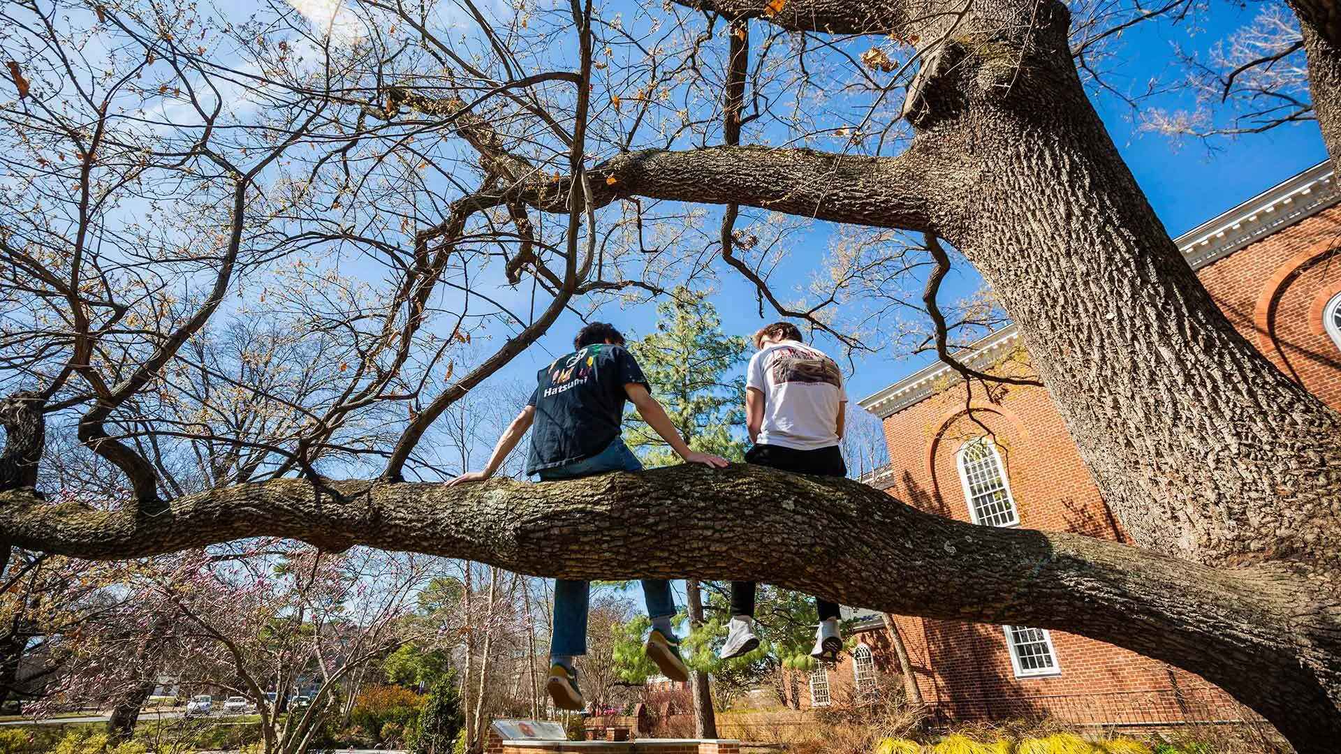 Two students sit outside on a tree branch on a sunny, spring day