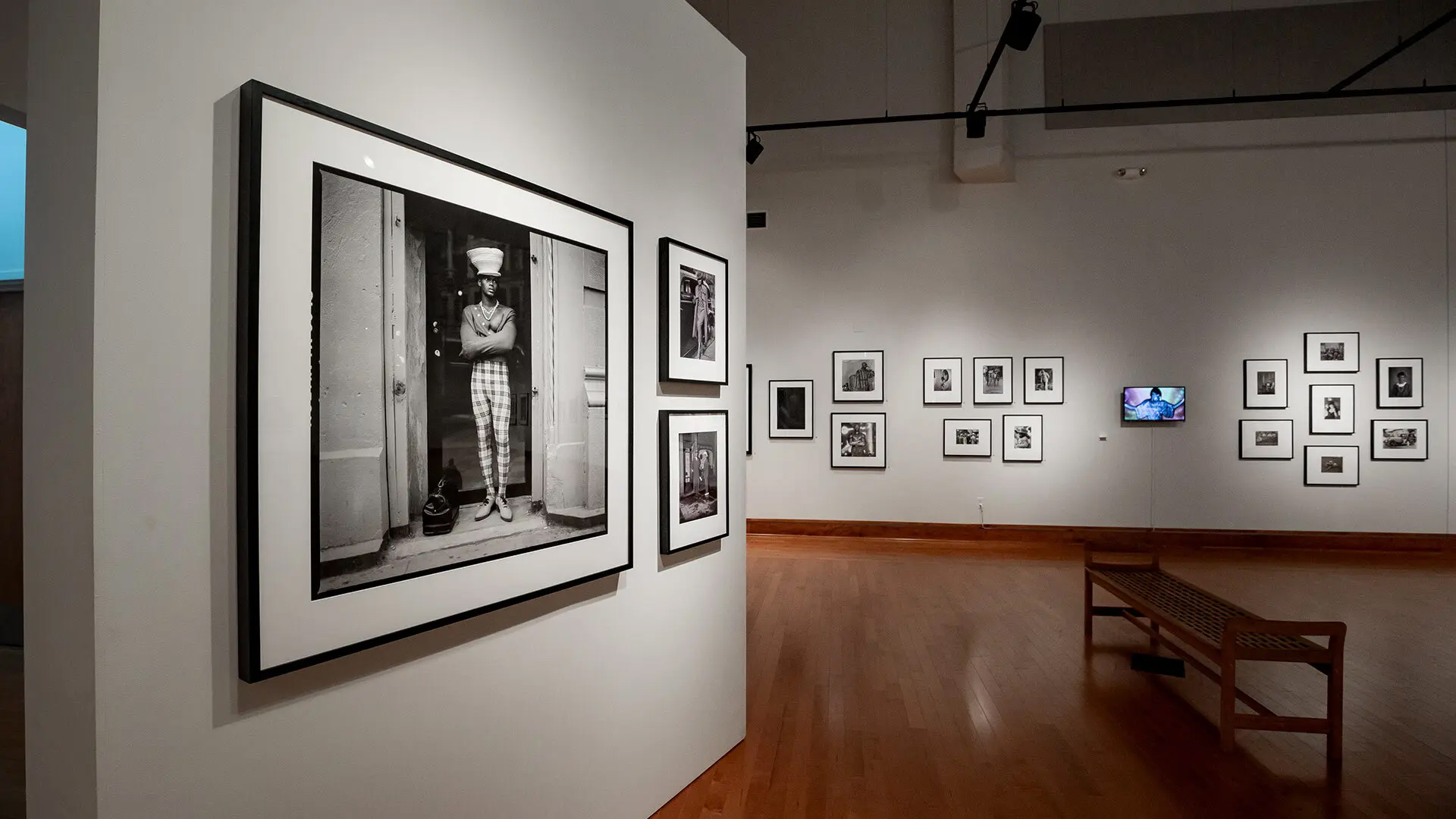 A photo exhibition at the David C. Driskell Center explores depictions of African and African American beauty. The center received two grants worth nearly $600,000 to document the center's activities and to catalog and digitize recent acquisitions.