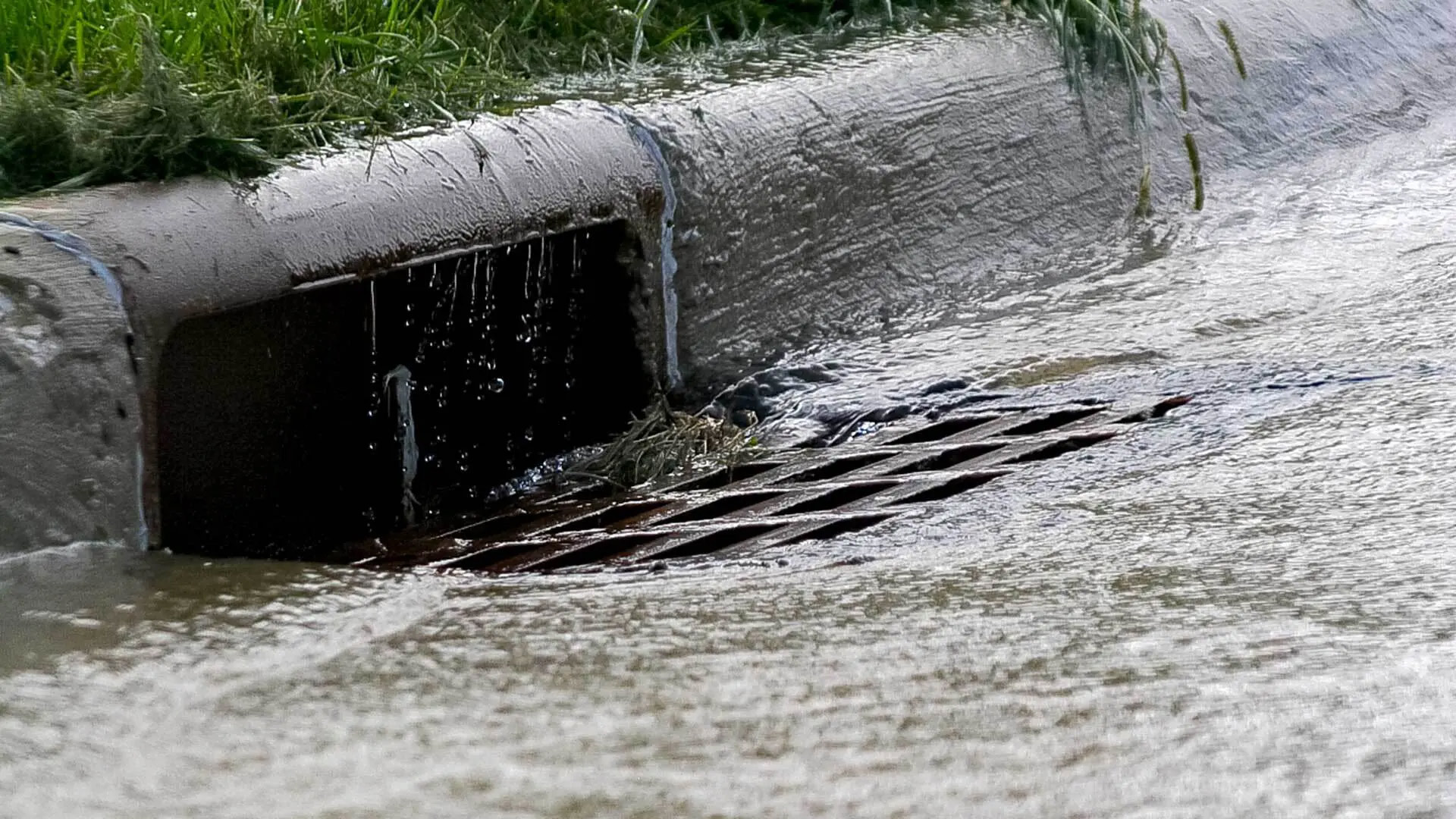 A new University of Maryland study was the first of its kind to analyze traditional sewers along with modern "green" stormwater infrastructure in D.C. through a socioeconomic lens, with the aim of helping city planners fund improvements in neighborhoods most at risk.
