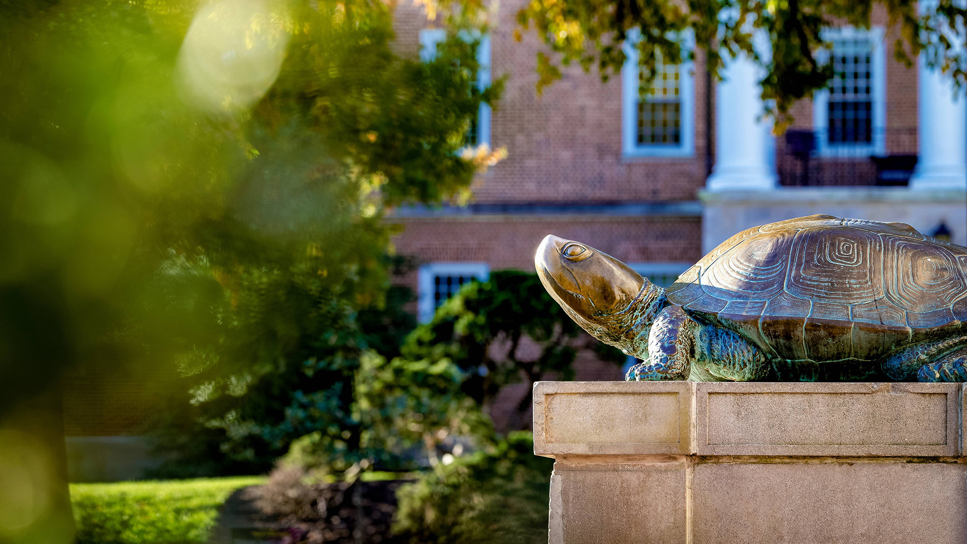 The iconic Testudo statue outside of McKeldin Library